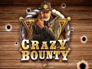 Crazy Bounty game thumbnail